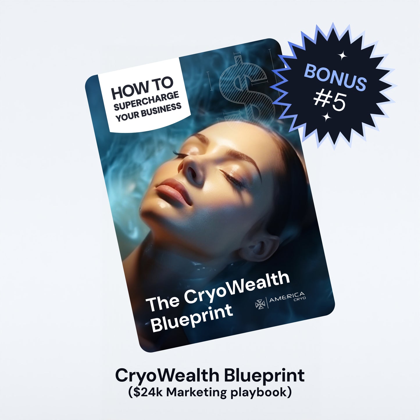 CryoWealth Blueprint ($24k Marketing playbook)